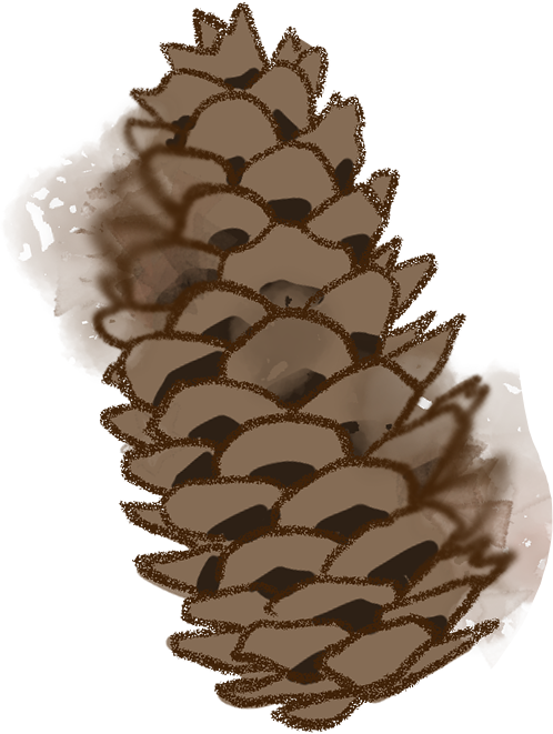 кавычки