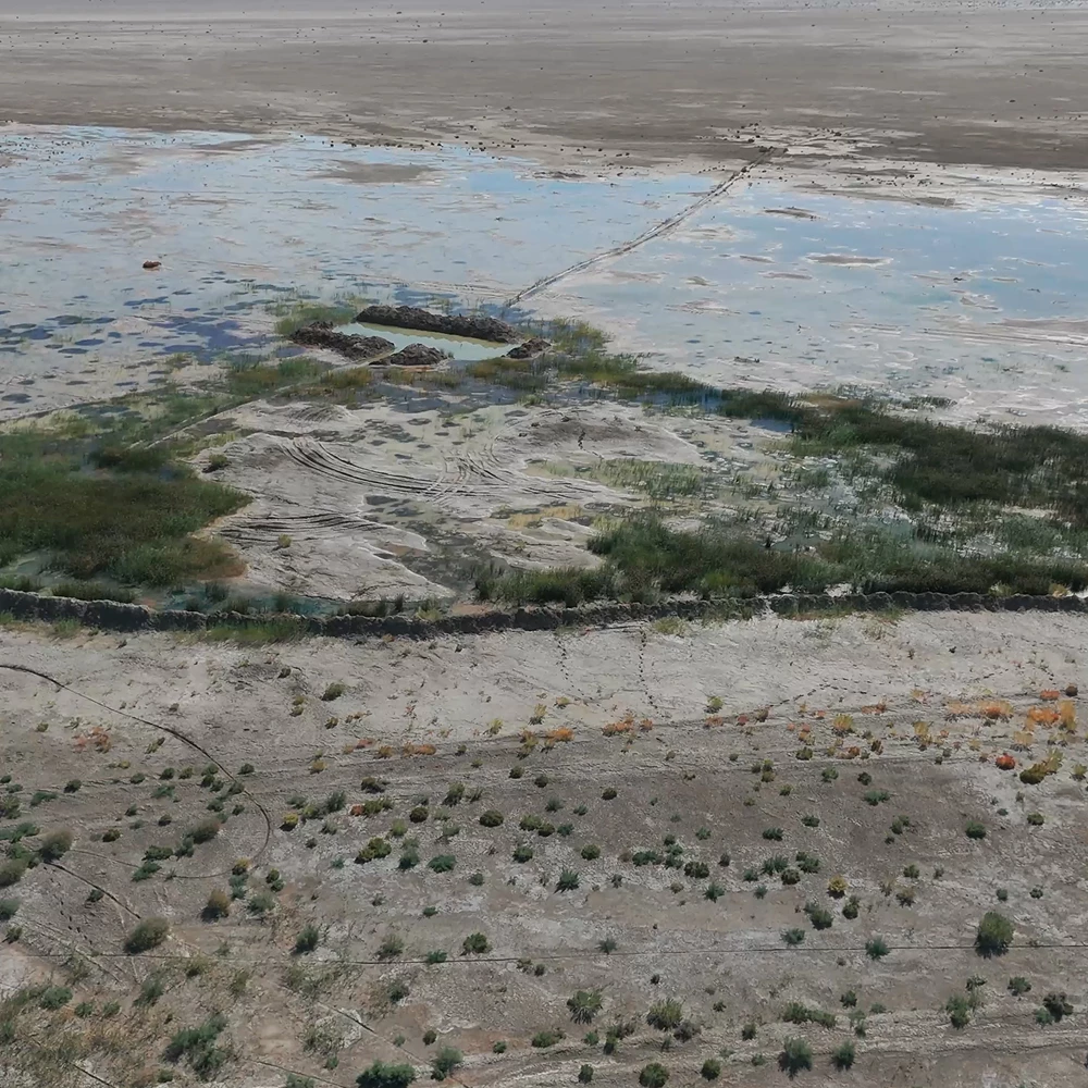 Как озеленить дно Аральского моря? В Казахстане запускается экологический проект мирового значения